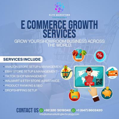 Digital Success Guide | Website Design, Advertising & Strategy